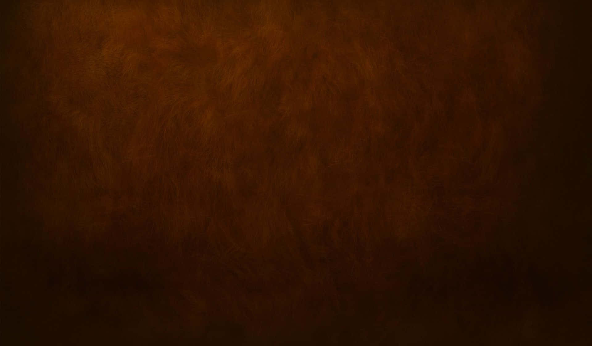 神秘抽象深色質感背景 壁紙 — 豐富紋理的棕色毛皮狀表面，帶有漸變照明，向暗邊緣褪色。