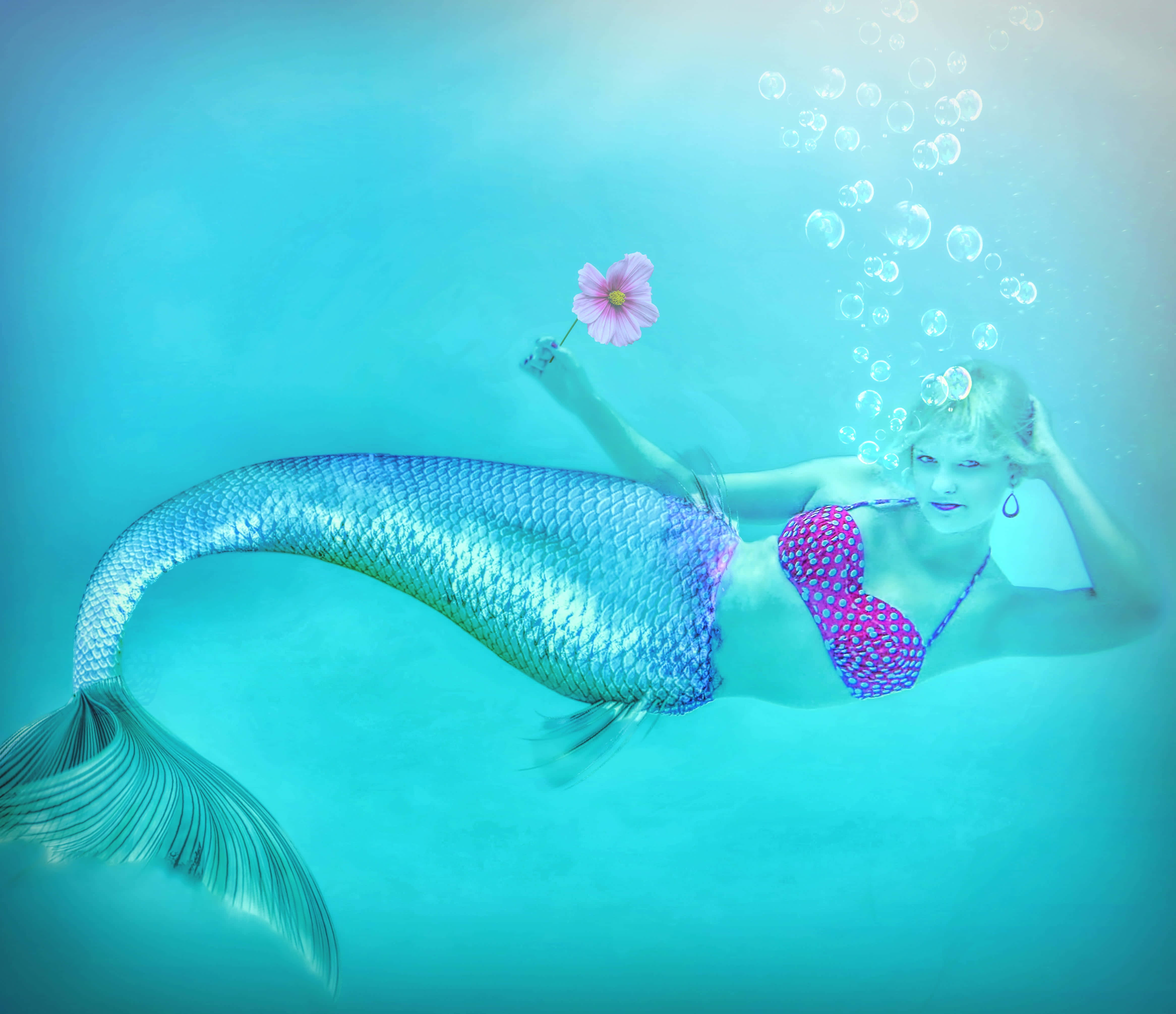 神秘海底之美——色彩繽紛的美人魚插畫 壁紙 — 一條擁有閃爍藍色尾巴和粉紅色圓點上衣的美人魚在水底漂浮，手持一朵粉紅色花朵，氣泡在她周圍升起。