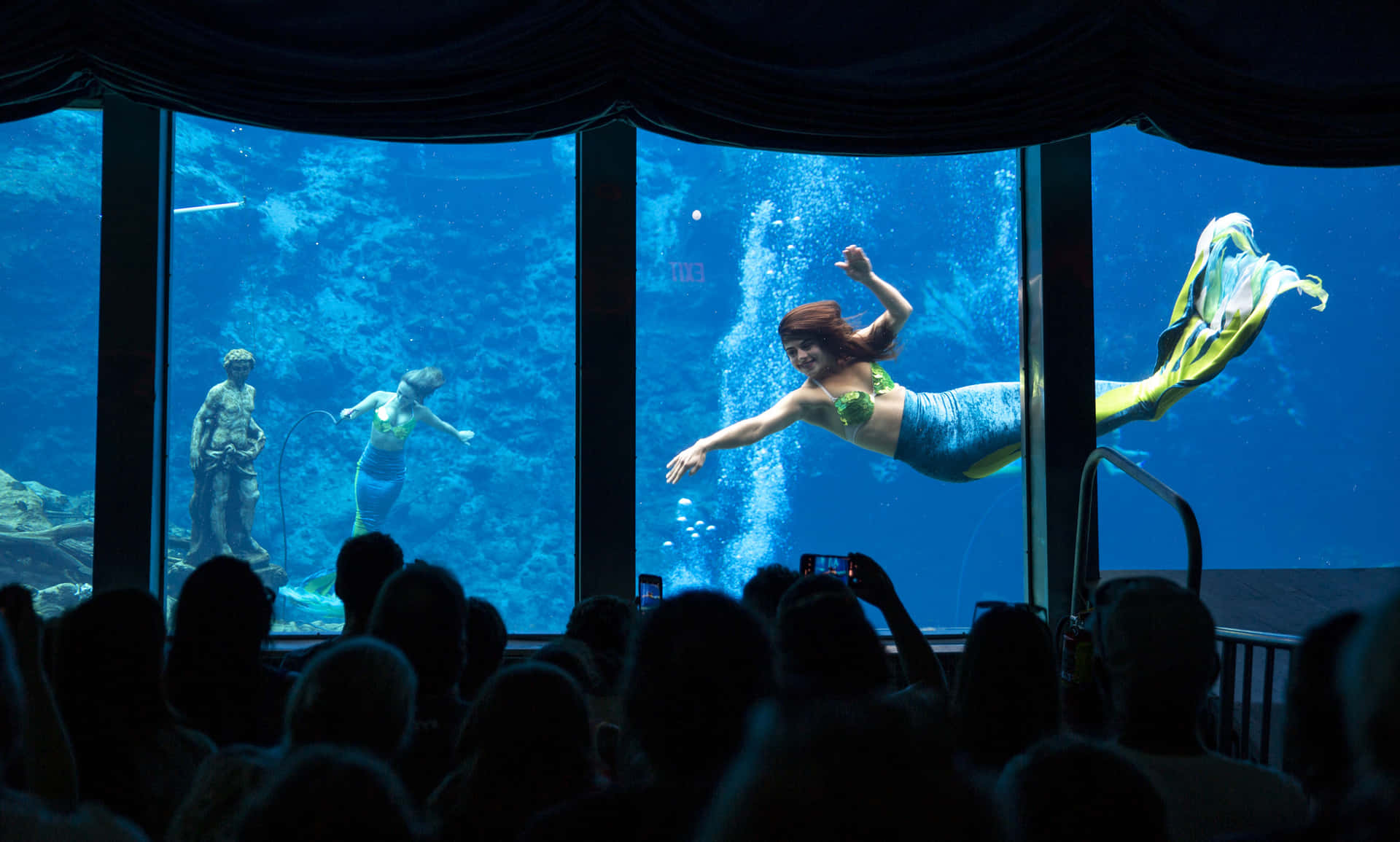 美人魚在水族館中進行水中表演，觀眾觀看。