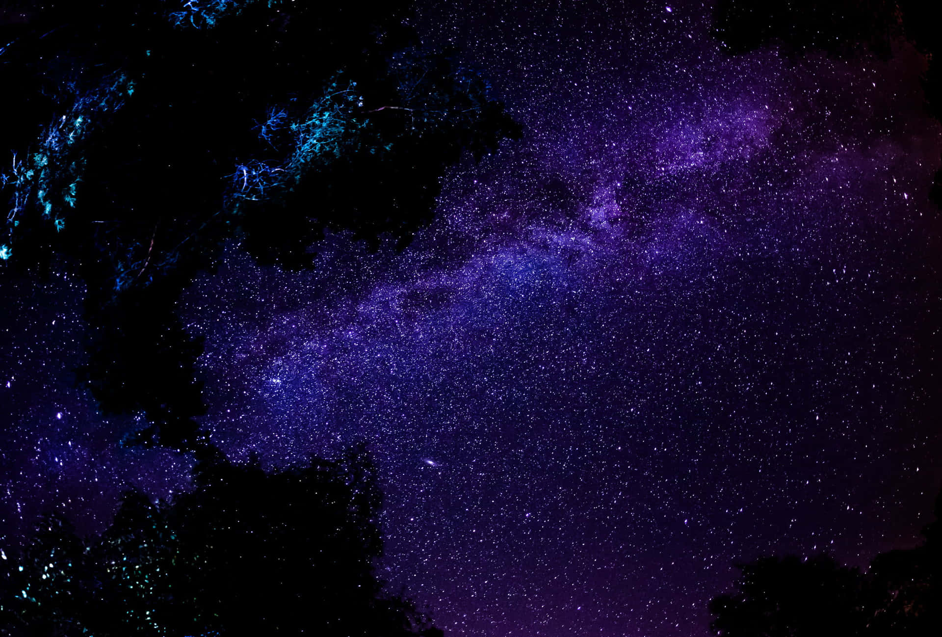 繁星點點的夜空下，深色樹木剪影上方的紫色和藍色星系