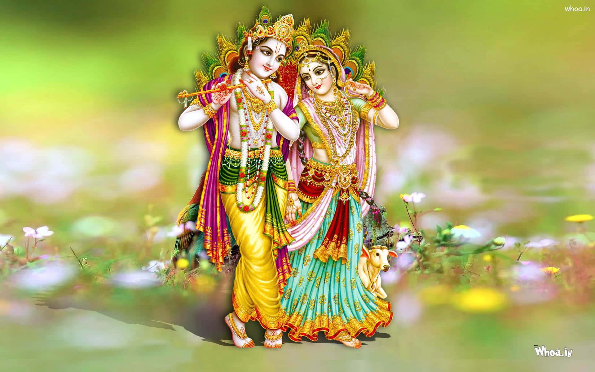 Radha Krishna 桌布 壁紙 — 神聖人物克里希納和拉達身著華麗服飾，站在柔和的金色光芒下充滿活力的花草地中。
