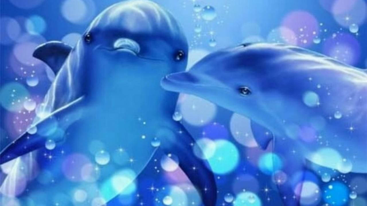 兩隻微笑的海豚在神奇的藍色水下場景中，伴隨著氣泡和閃光。