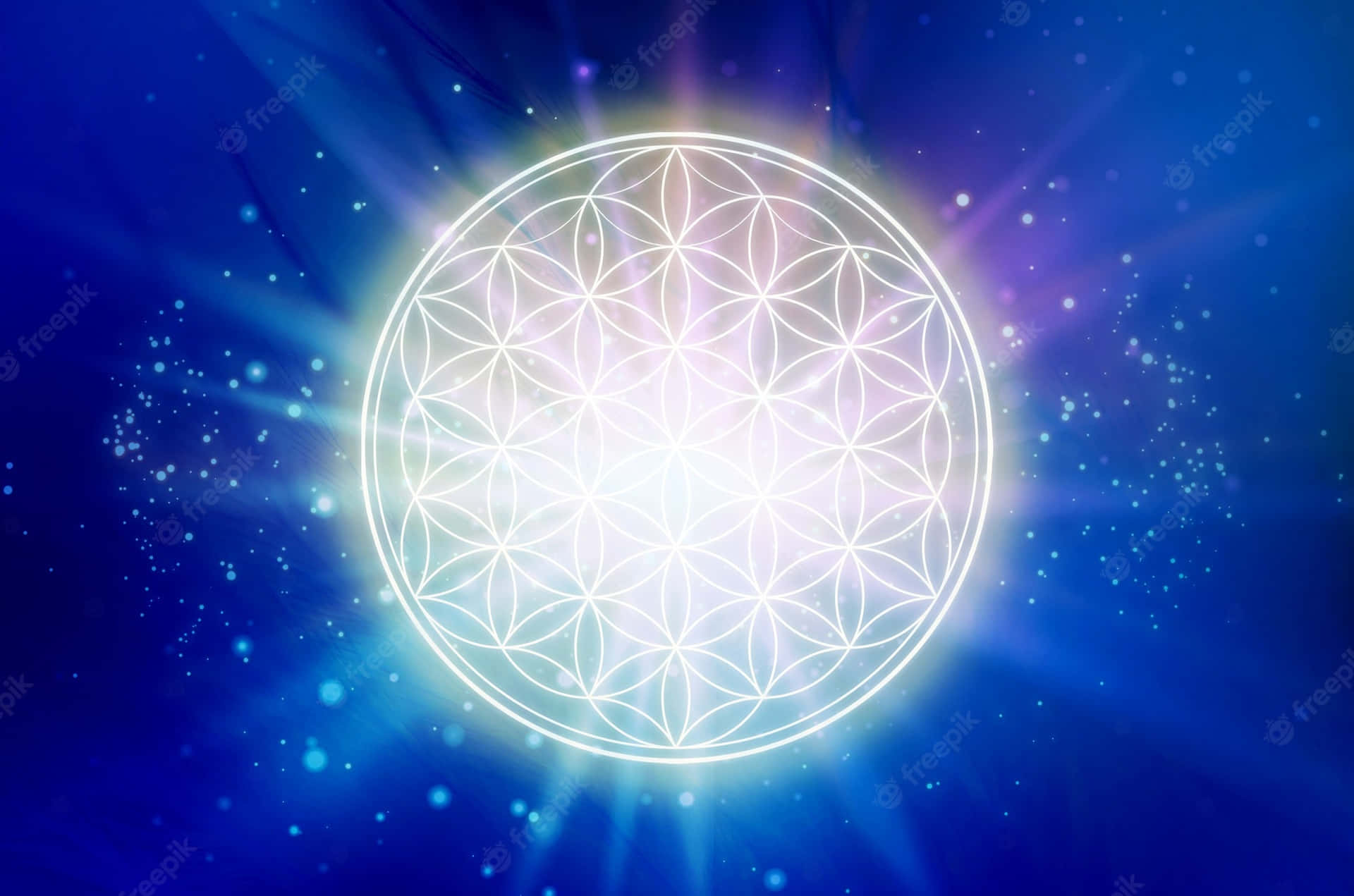 一個發光的白色生命之花符號，襯以繁星點點的藍色宇宙背景。