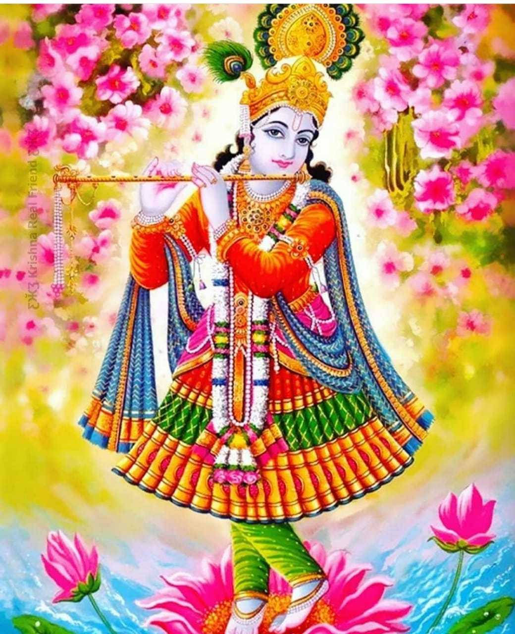krishna phone 桌布 壁紙 — 神聖的克里希納身穿鮮豔的傳統服飾，在盛開的粉紅花朵和蓮花中吹奏長笛。