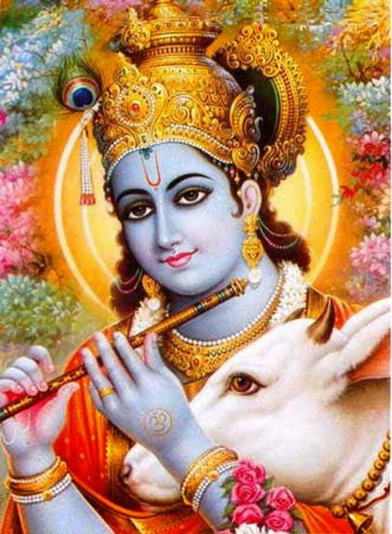 krishna iPhone 桌布 壁紙 — 神聖的藍皮膚神祇克里希納，佩戴金色皇冠和珠寶，在鮮花背景中於白牛旁吹奏長笛。