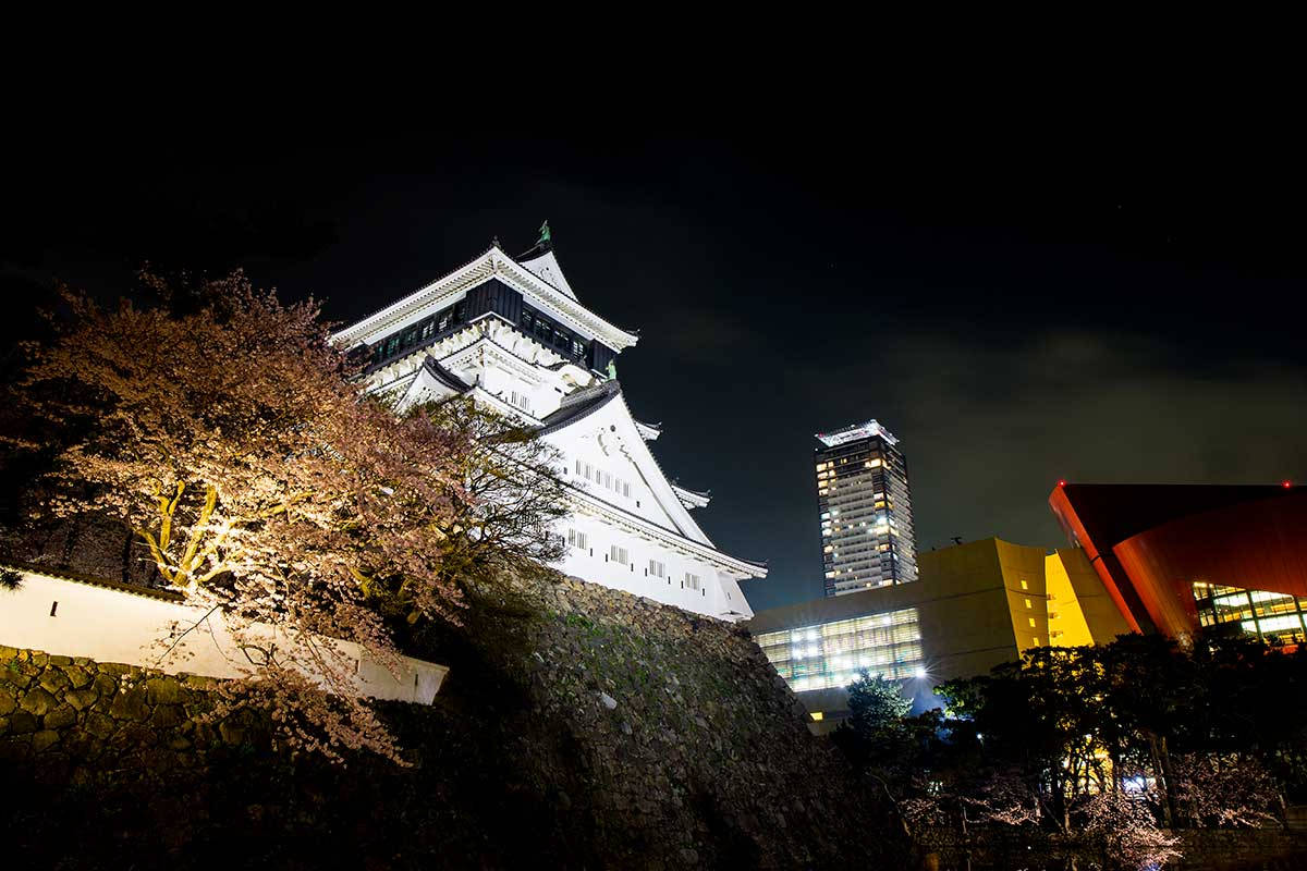 福岡夜間寺廟 壁紙 — 在黑暗的天空下，一座雄偉的 illuminated 城堡在夜晚與現代建築旁的櫻花一同閃耀。