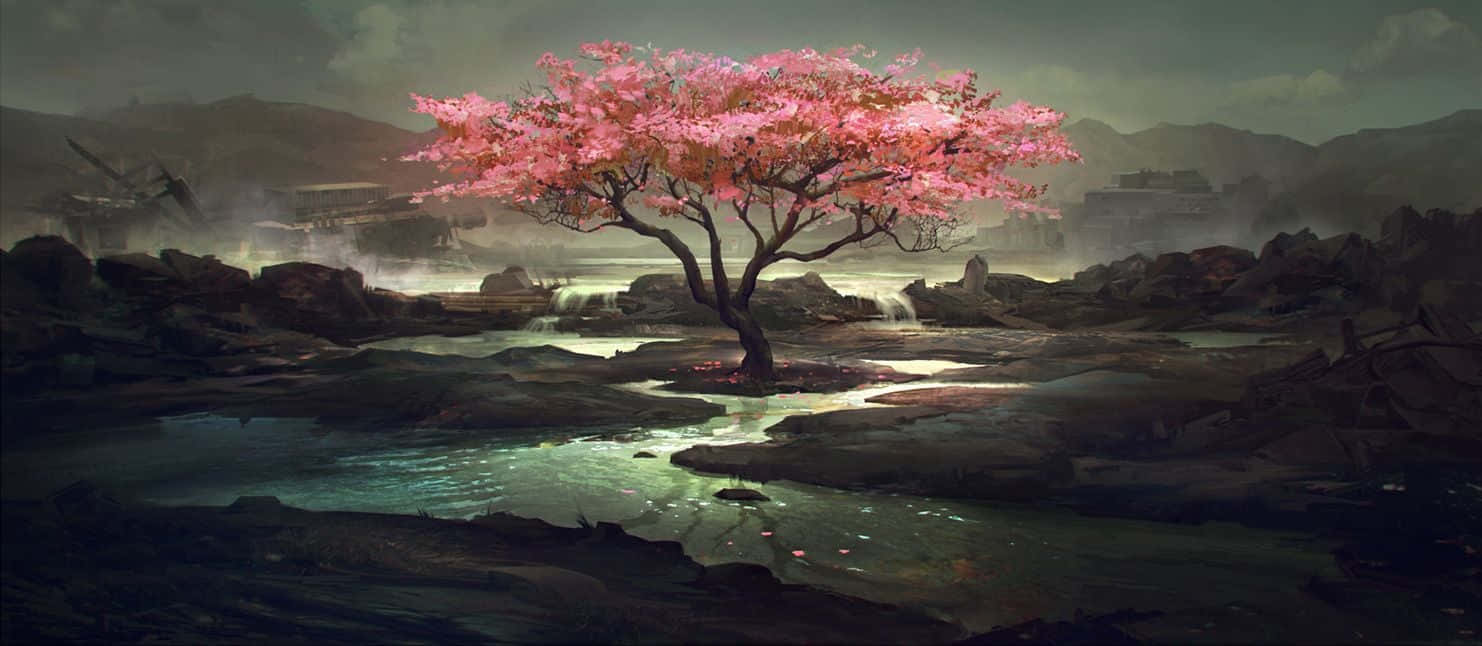一棵櫻花樹在霧氣瀰漫的河流景觀中綻放粉紅色。