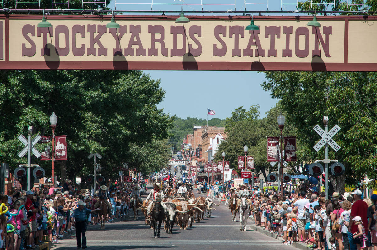 長角牛遊行穿過 Stockyards Station，陽光明媚，人群歡呼。