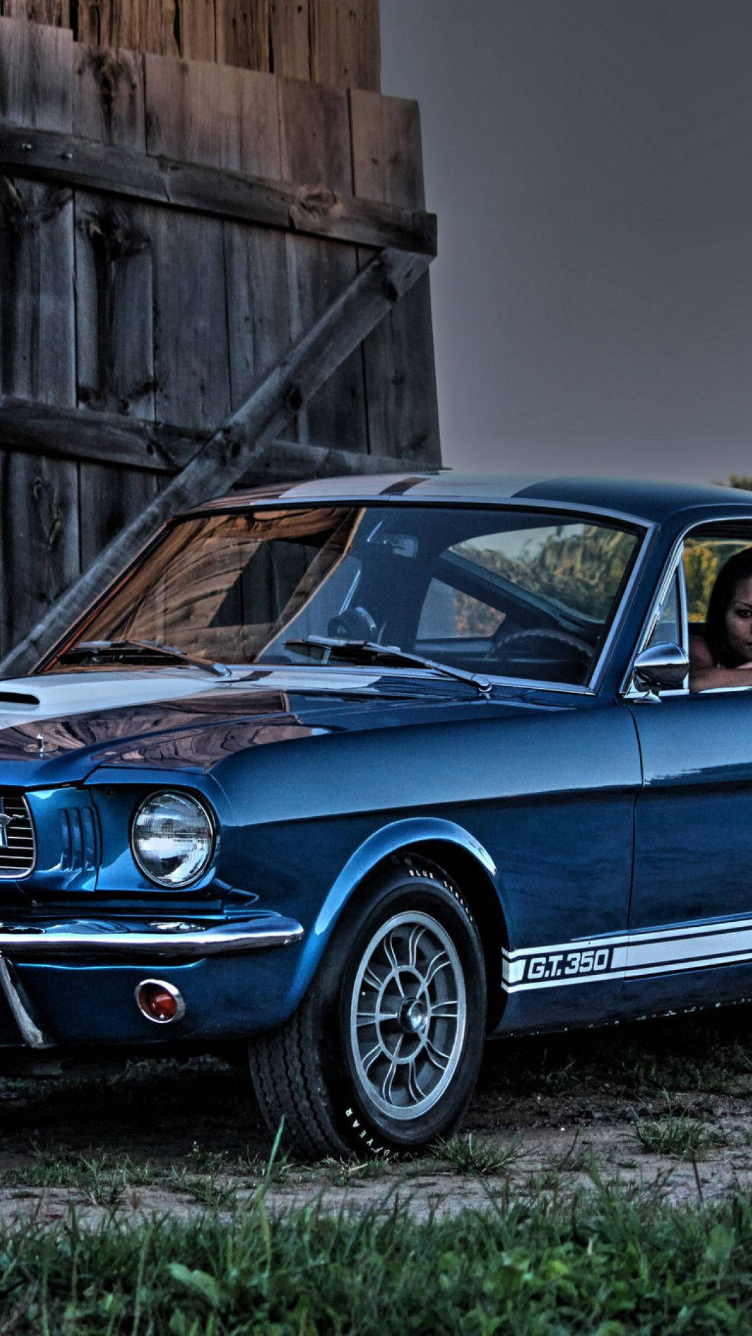 福特 iPhone 古典汽車 壁紙 — 一架復古藍色福特野馬GT350停泊在風化木穀倉旁，司機座位上可見一名女子。