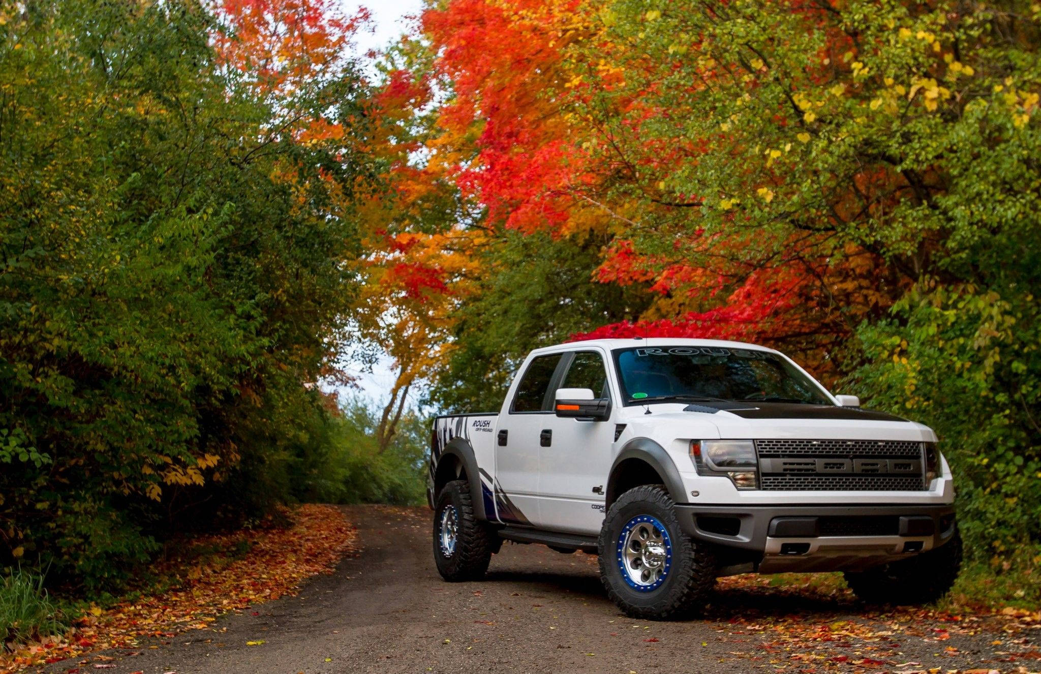 福特Raptor停泊於幽靜道路 壁紙 — 一輛白色福特F-150 Raptor停泊在森林道路上，周圍是充滿活力的秋樹，有紅色、橙色和綠色的樹葉。