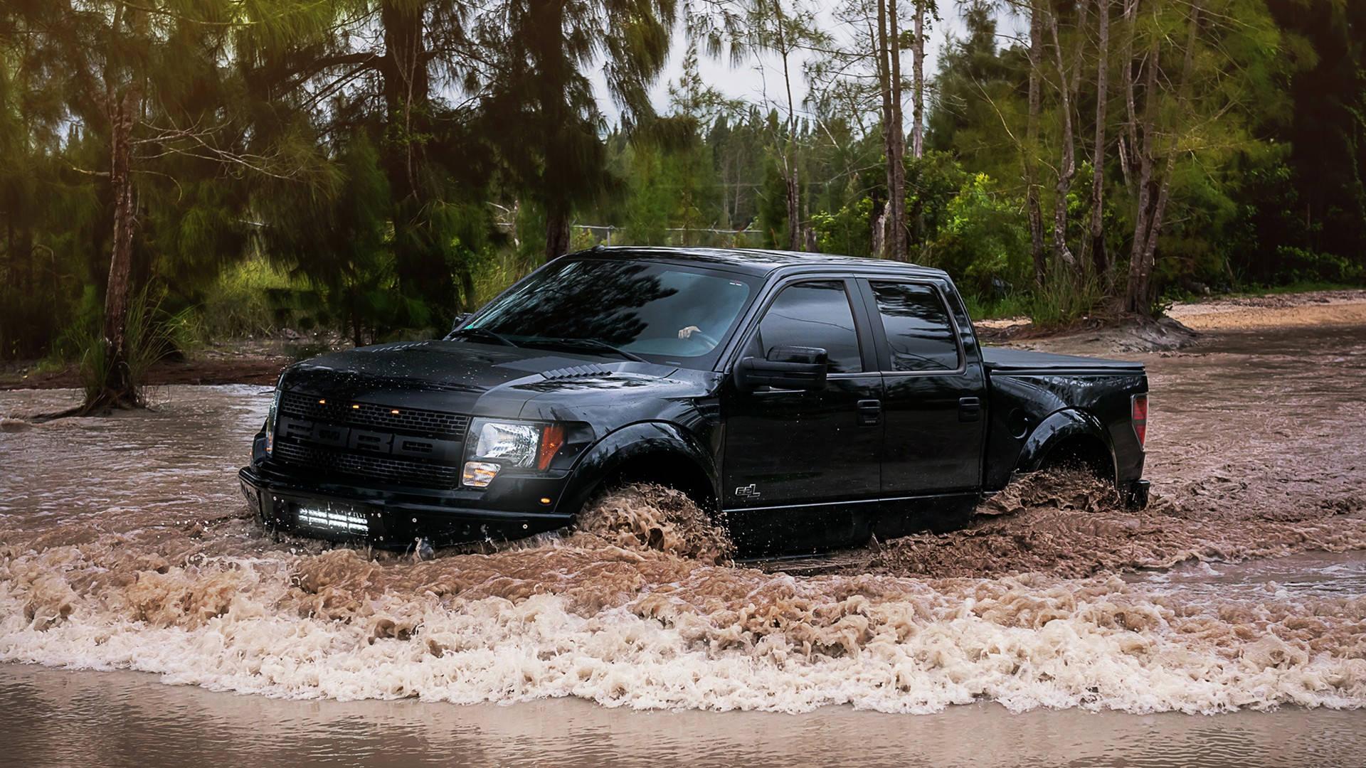 福特Raptor征服水浸地形 壁紙 — 一輛黑色福特F-150卡車在茂密綠樹環繞的泥濘小溪中行駛。