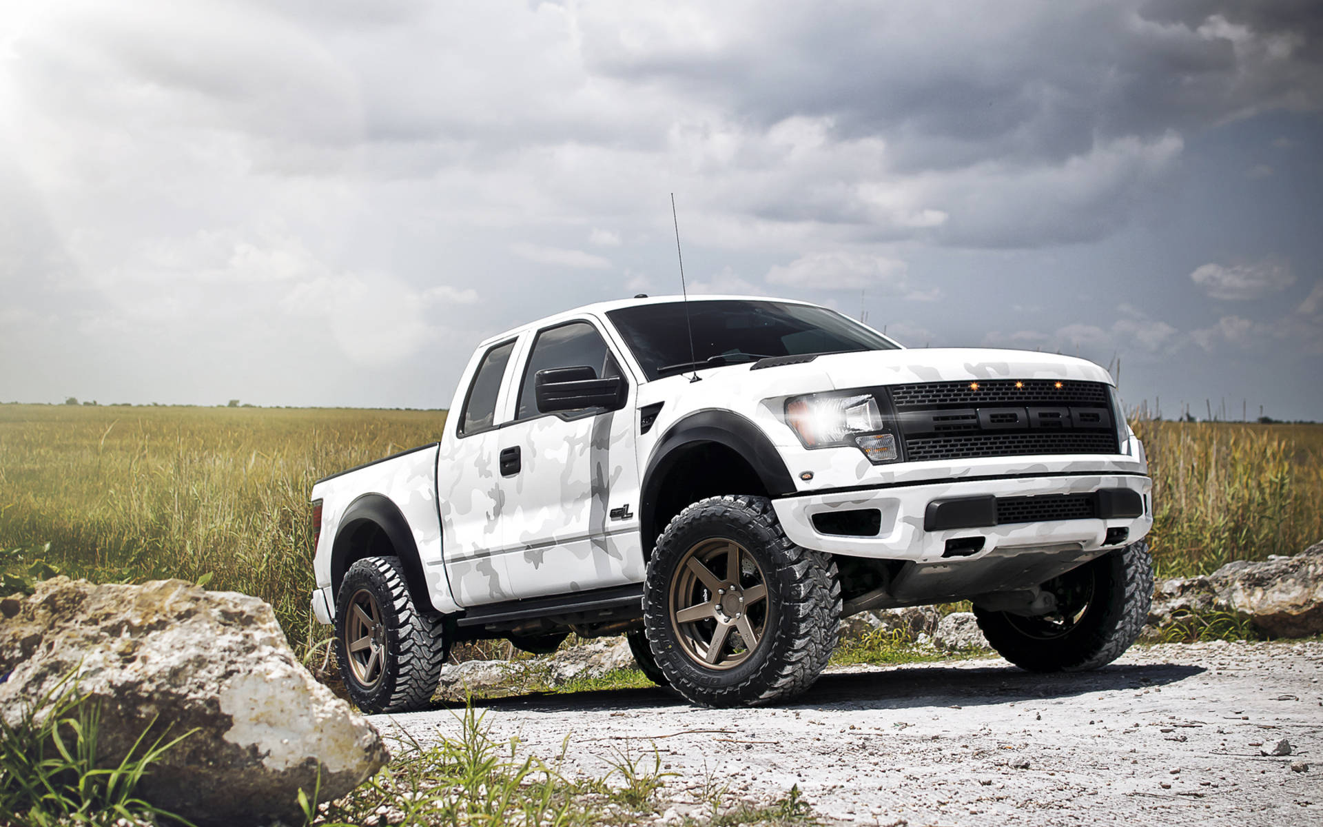 福特Raptor攀爬陡坡 壁紙 — 一輛白色福特 F-150 Raptor 配金色輪圈，停泊在碎石路上，周圍是高草和岩石，天空多雲。