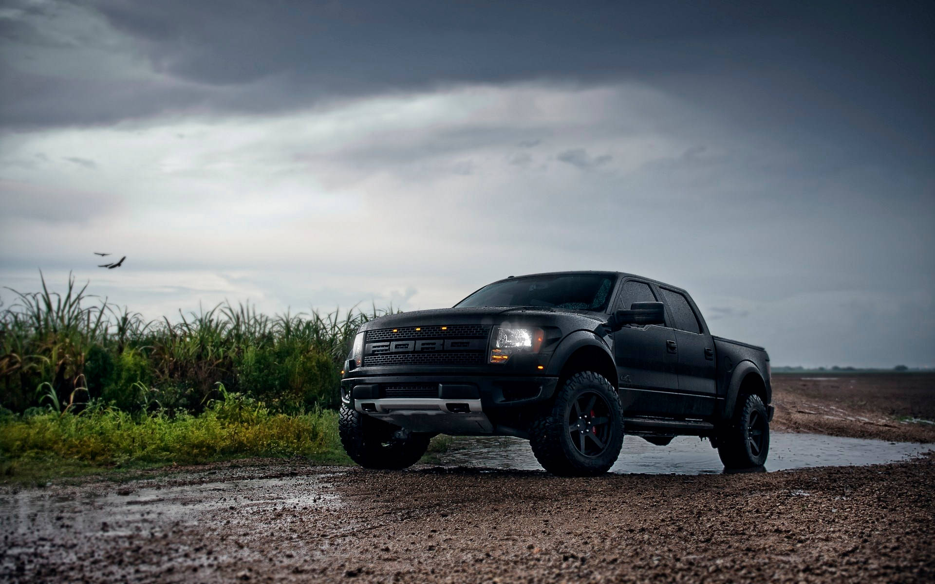 福特Raptor穿越泥濘水坑 壁紙 — 一輛黑色福特 F-150 Raptor 在泥濘的田野上堅固地矗立，暴風雨的天空下，遠處有一架飛機飛過。
