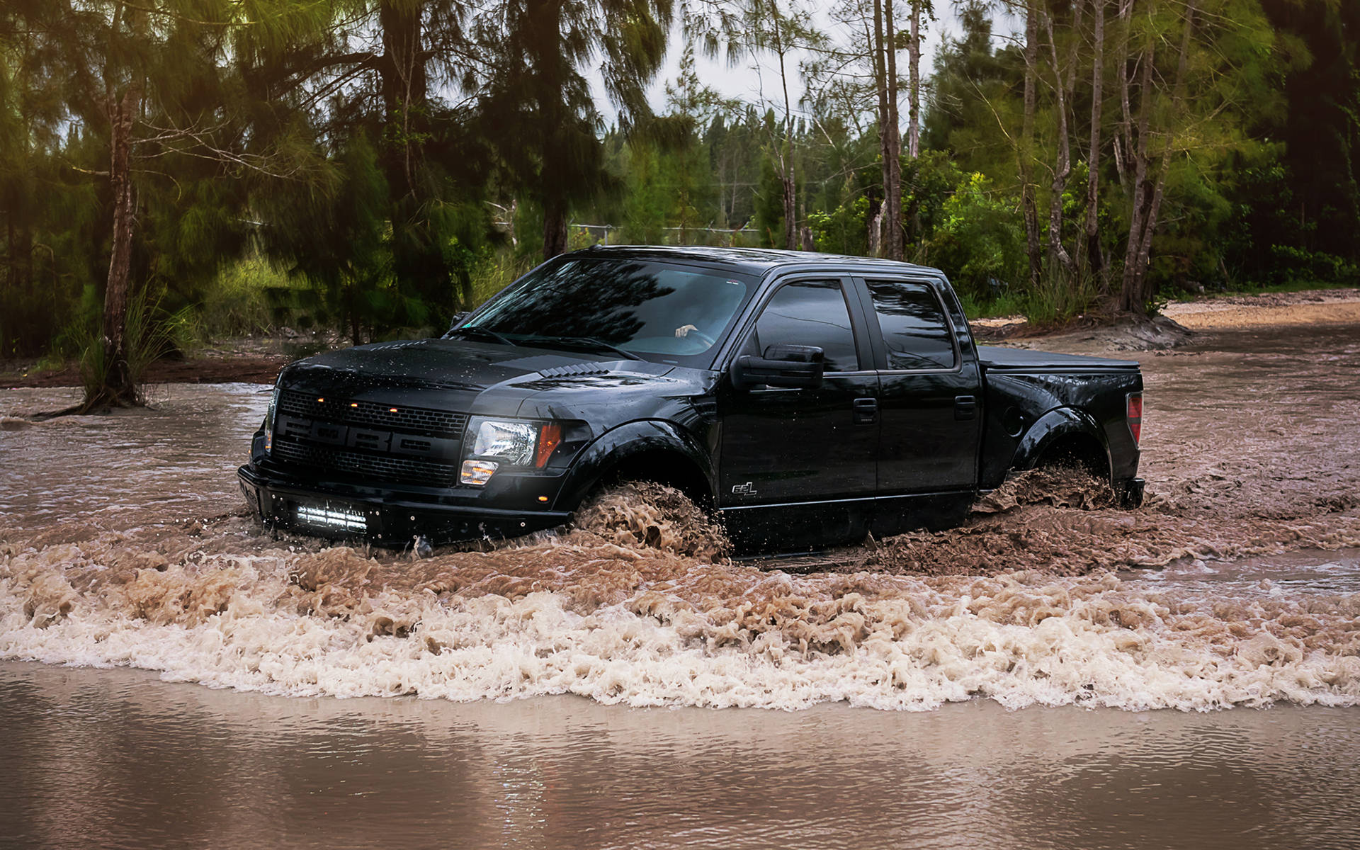 福特Raptor穿越泥濘洪流 壁紙 — 一輛黑色福特F-150卡車在茂密綠色森林環繞的泥濘洪水中行駛。