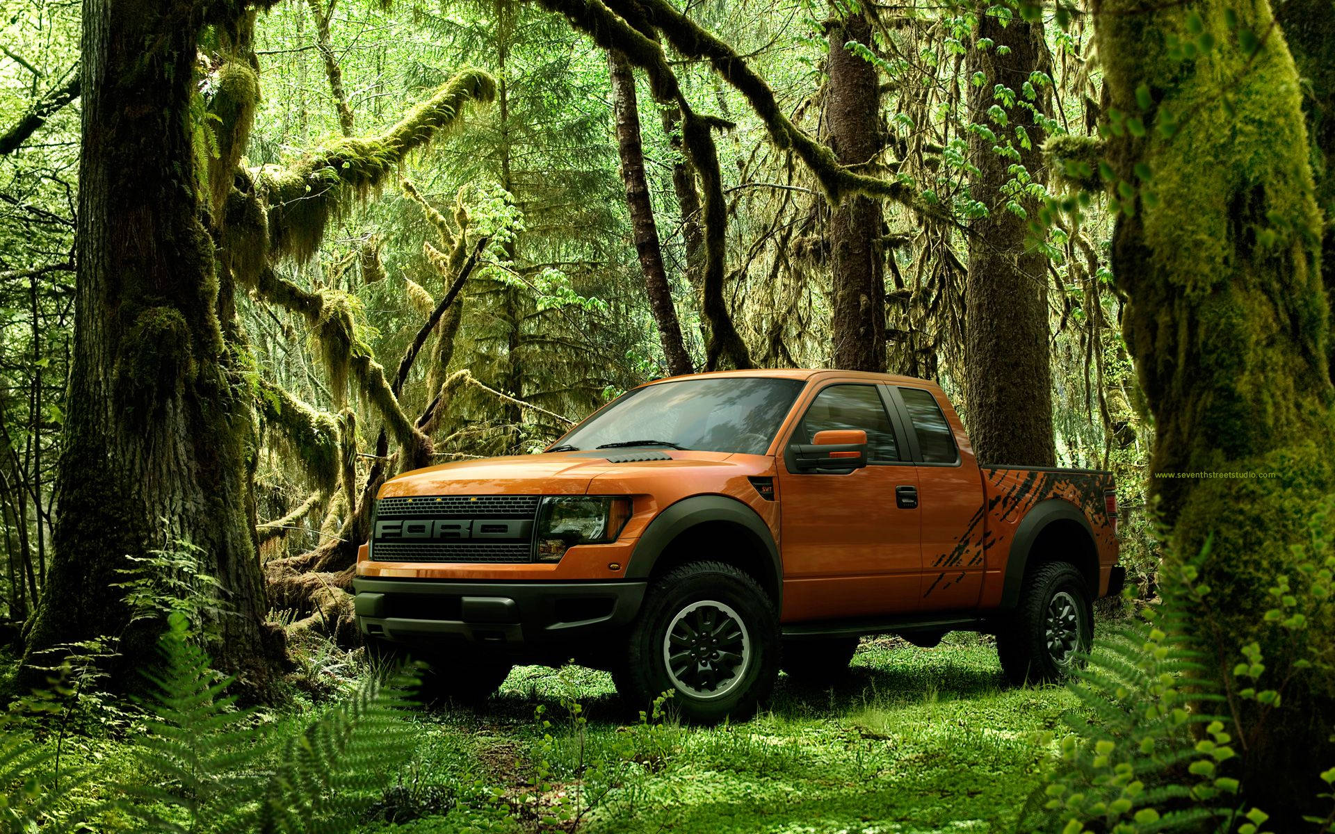 福特Raptor置身苔蘚叢林 壁紙 — 一輛充滿活力的橙色福特F-150卡車停放在茂密苔蘚覆蓋的森林中，周圍有高聳的樹木和斑駁的陽光。