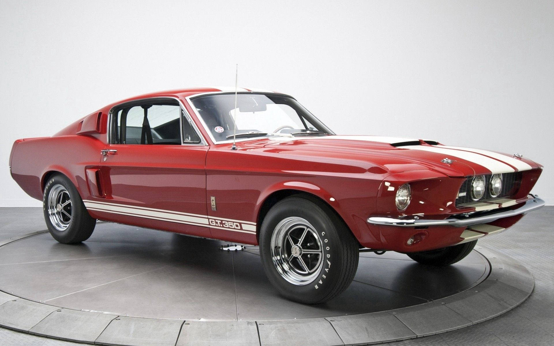 紅色經典Shelby GT350肌肉車，帶白色條紋，在工作室轉盤上。