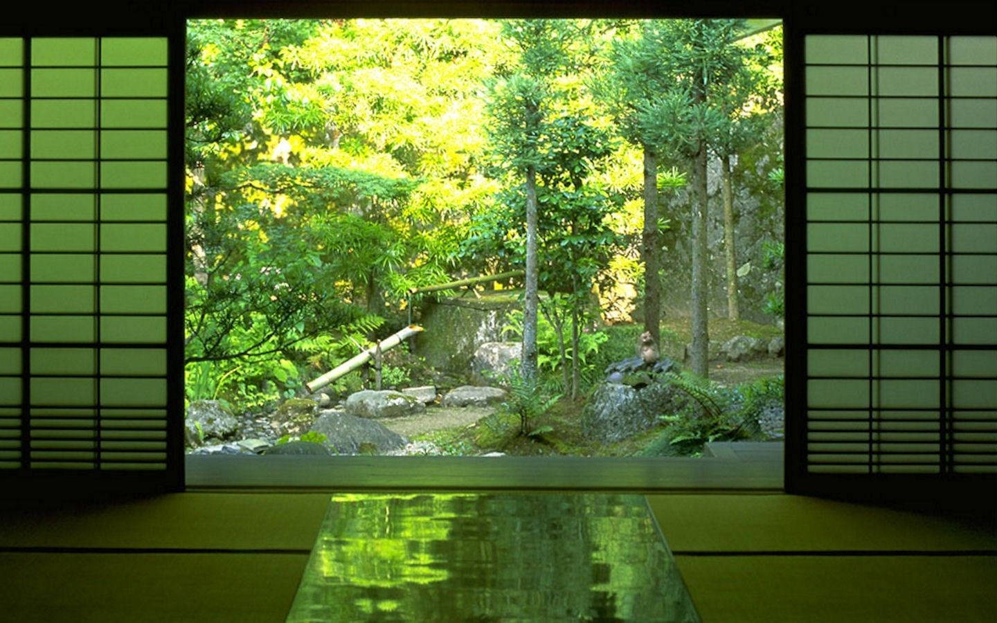 禪意日式庭院 壁紙 — 透過障子屏風觀賞一個寧靜的日本庭園，園內有茂密的綠樹、岩石和一個沐浴在明亮陽光下的石燈籠。