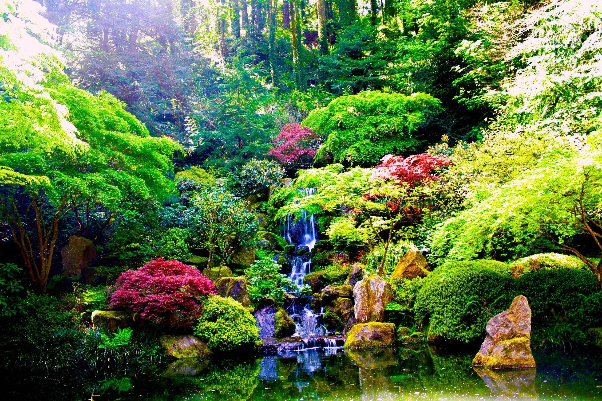 禪意森林庭園 壁紙 — 一個寧靜的日本花園瀑布從長滿苔蘚的岩石上傾瀉而下，流入一個平靜的池塘，周圍環繞著充滿活力的綠色植物和洋紅色的開花樹木。