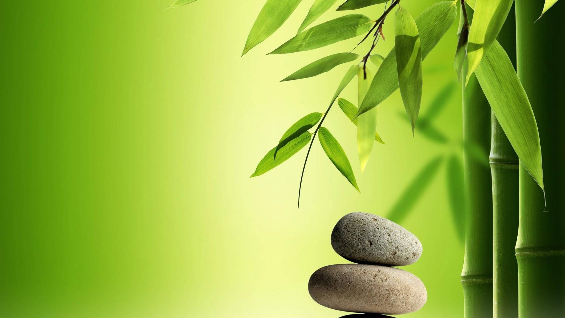 禪石與翠竹 壁紙 — 光滑的石頭堆疊在鮮綠的竹葉旁，背景是柔和的漸變色。