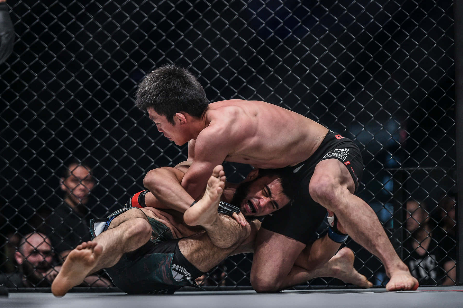 兩名MMA拳手在八角籠內進行寢技纏鬥。