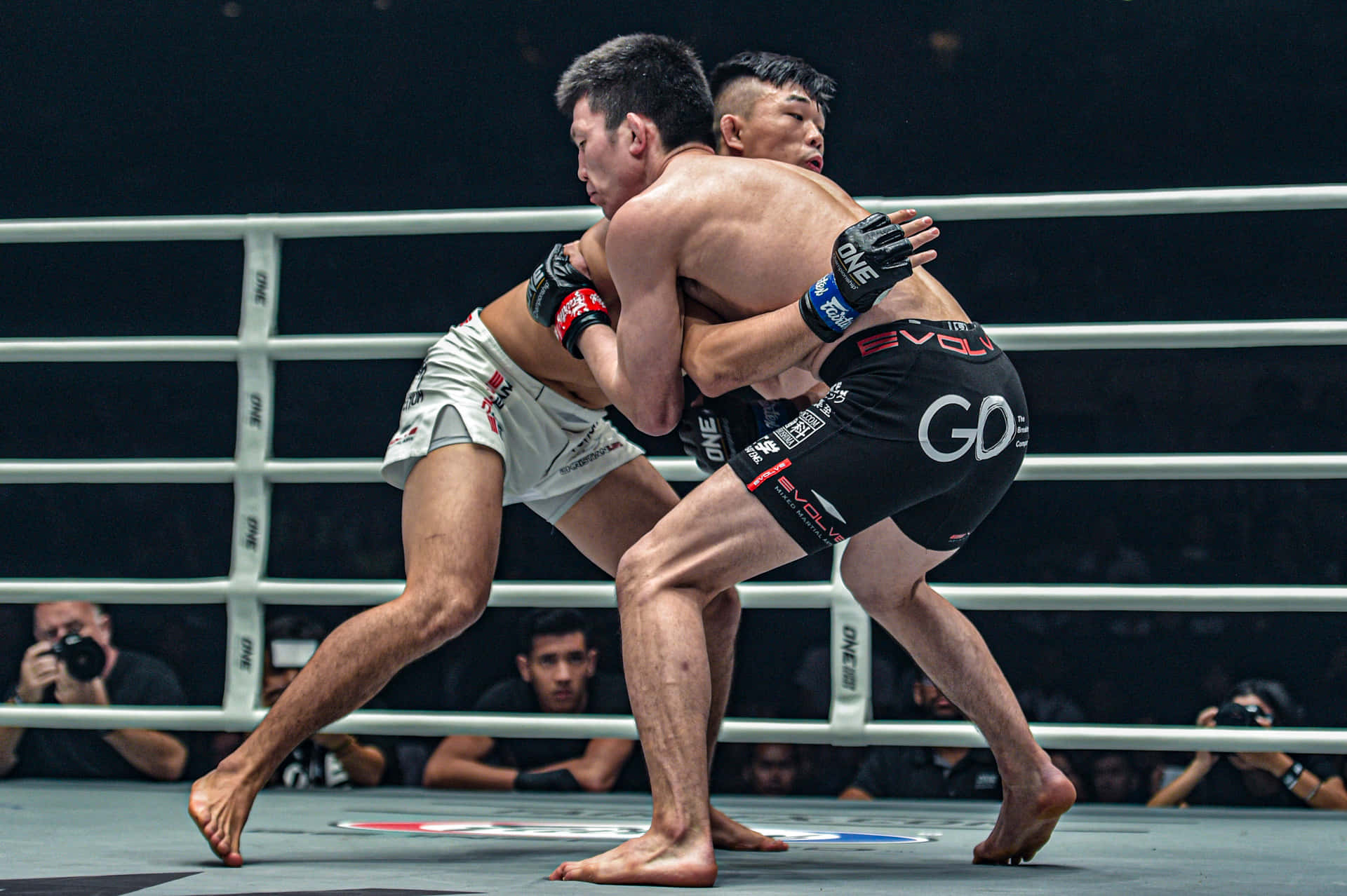 兩名男拳手在專業MMA擂台上陷入纏鬥比賽。