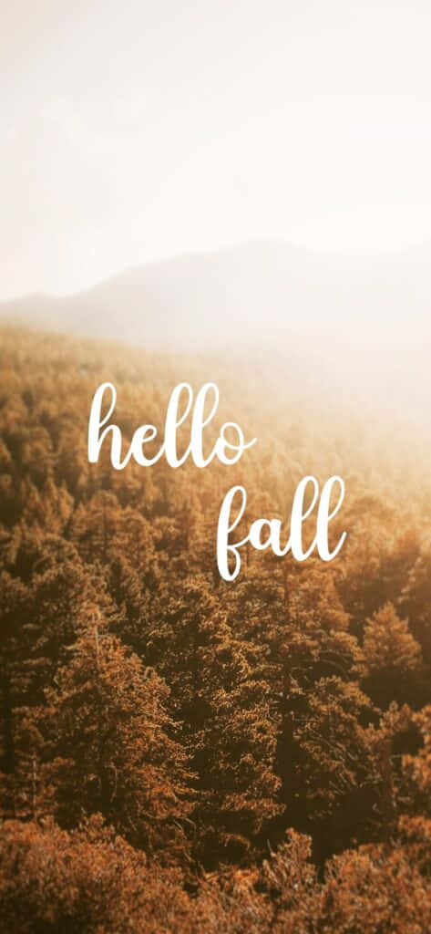 金色的秋樹林，在霧氣繚繞的山巒上帶有 'hello fall' 文字。
