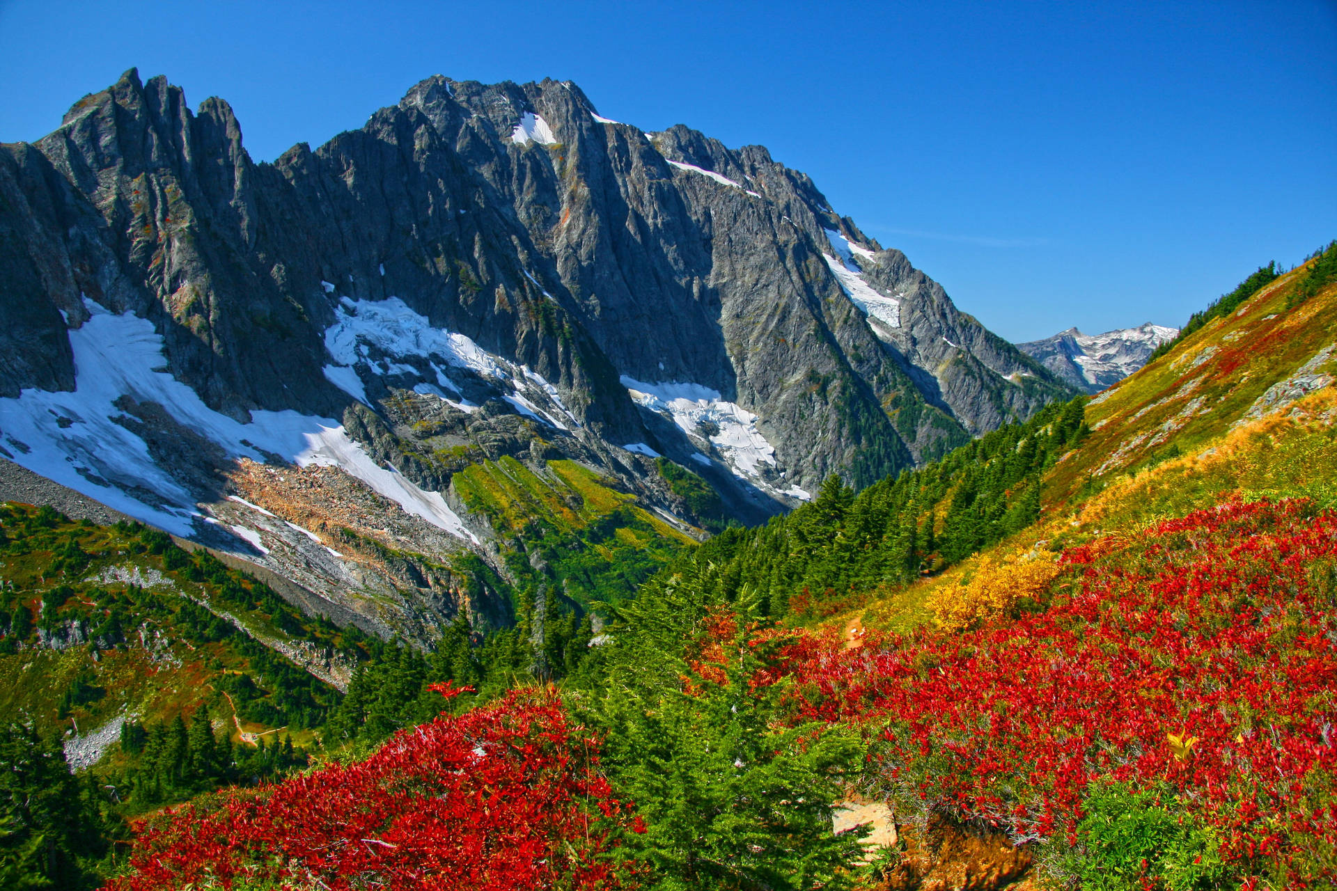 白雪覆蓋的山峰聳立在一個充滿紅色和金色秋葉的山谷之上。