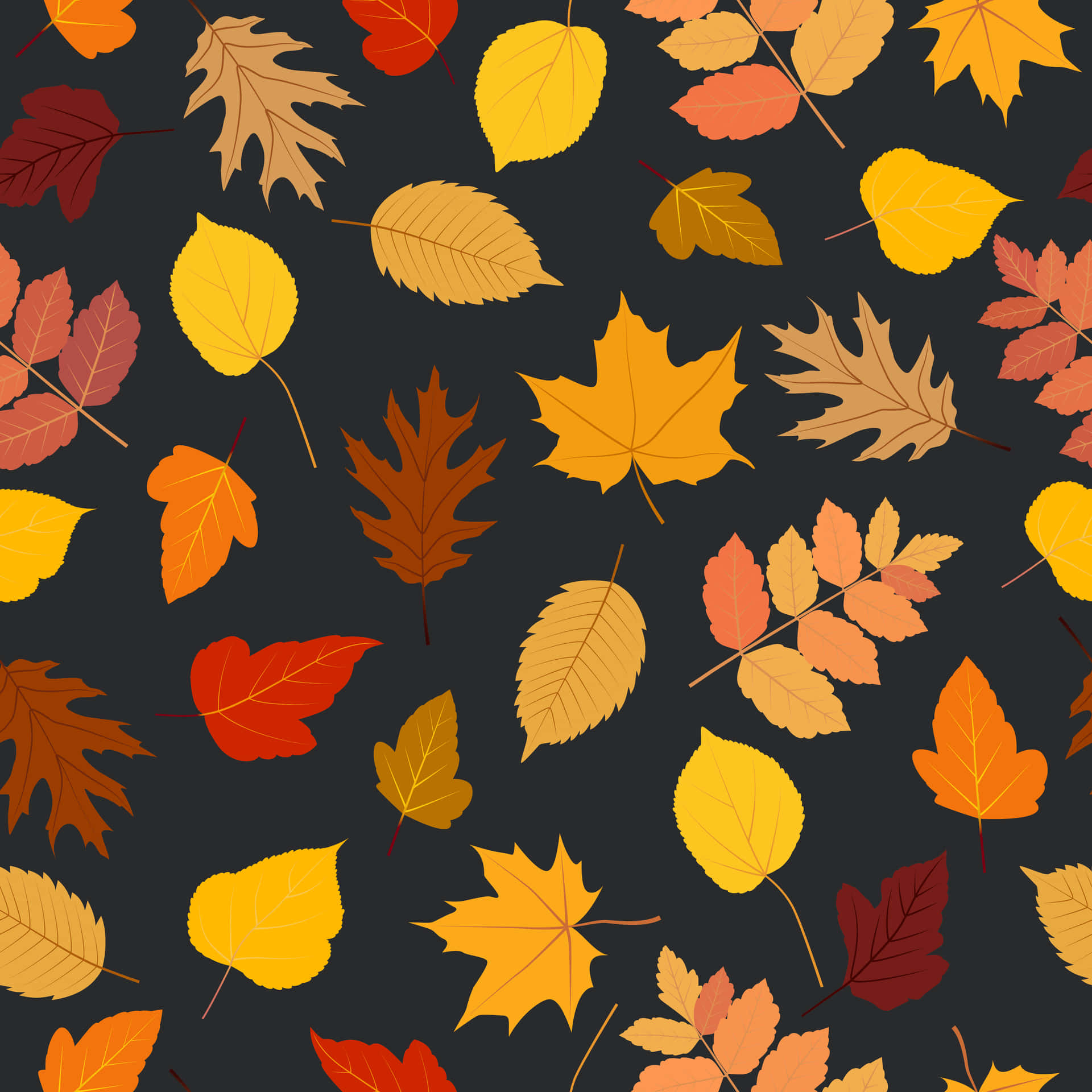 深色背景上的橙色、黃色和紅色秋葉