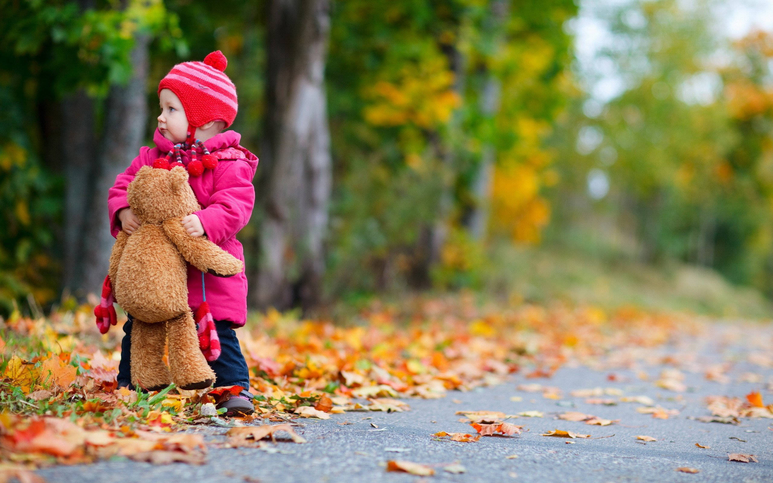 秋日孩童手抱泰迪熊 壁紙 — 一個穿著粉紅色外套和紅色帽子的小女孩，抱著一隻泰迪熊，走在鋪滿落葉的路上，周圍是秋天的樹木。