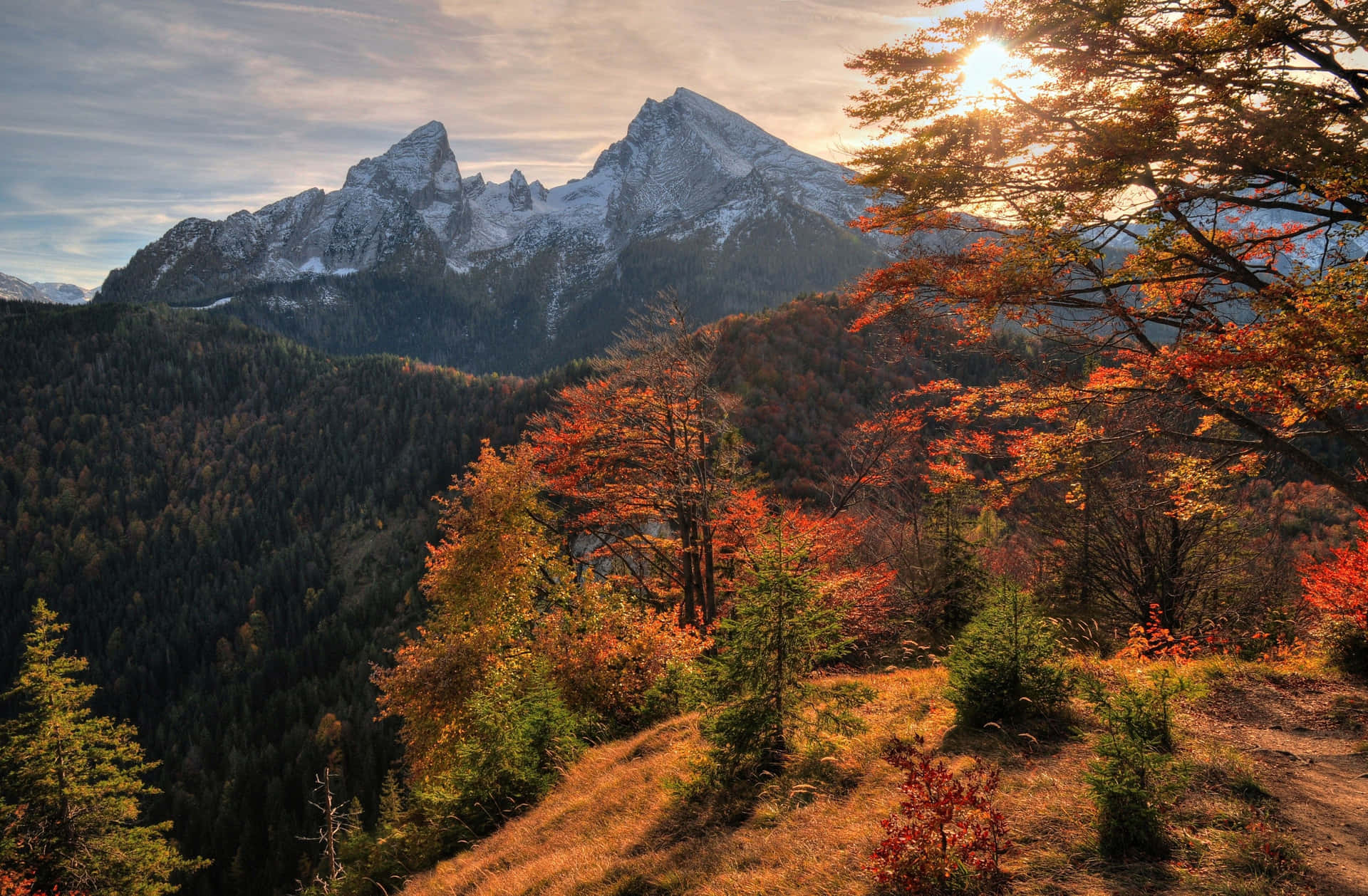 秋日山巒橙色天空 壁紙 — 日落將積雪的山峰沐浴在金色光芒中，火紅的秋樹襯托著下方的森林山谷。