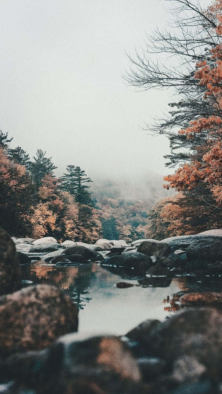一條平靜的秋日河流流過長滿苔蘚的岩石，周圍是橙色和綠色葉子的樹木，天空灰濛濛的。