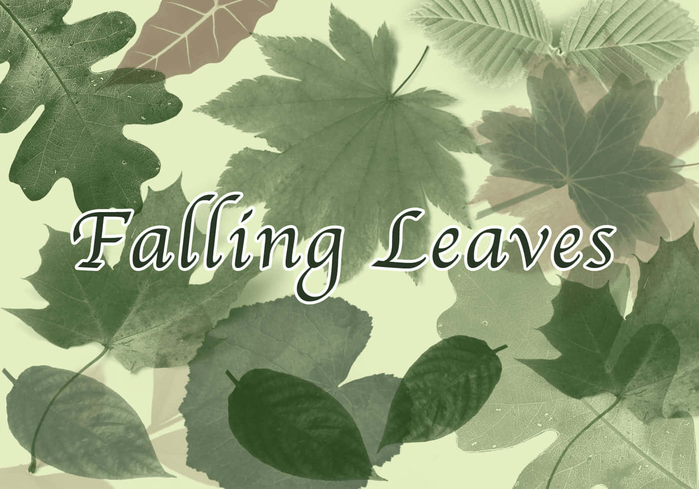在重疊的秋葉背景上疊加 Falling Leaves 文字。