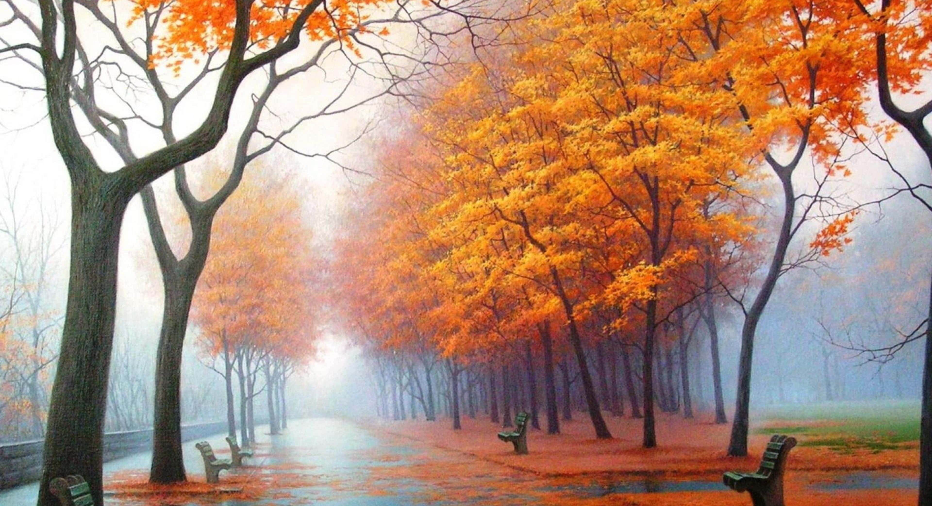 秋日森林的迷人風景 壁紙 — 一條霧氣瀰漫的秋日小徑，兩旁種滿鮮豔的橙色樹木，長椅在柔和散射光下。