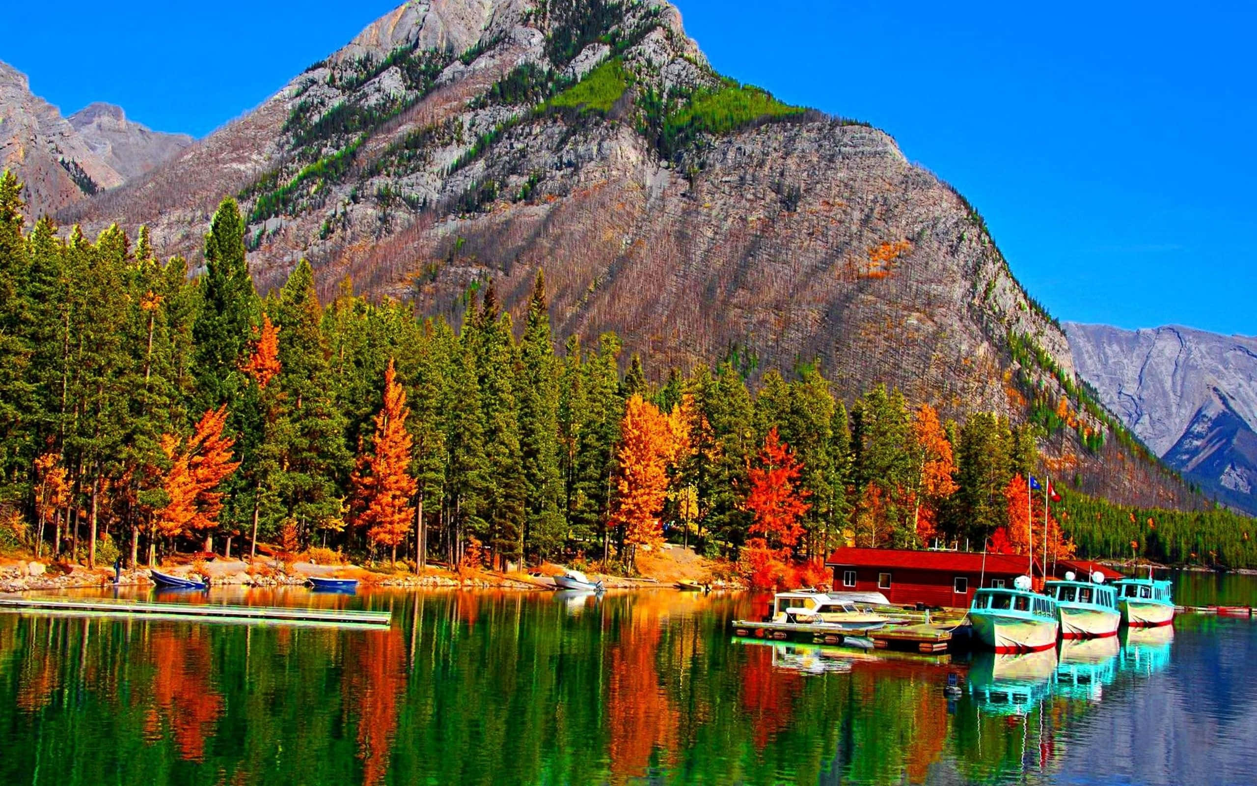 秋日森林與湖上小船 壁紙 — 充滿活力的秋日湖景，色彩繽紛的樹木倒映在平靜的水面上，旁邊有一座紅色船庫和停泊的船隻，天空清澈湛藍。