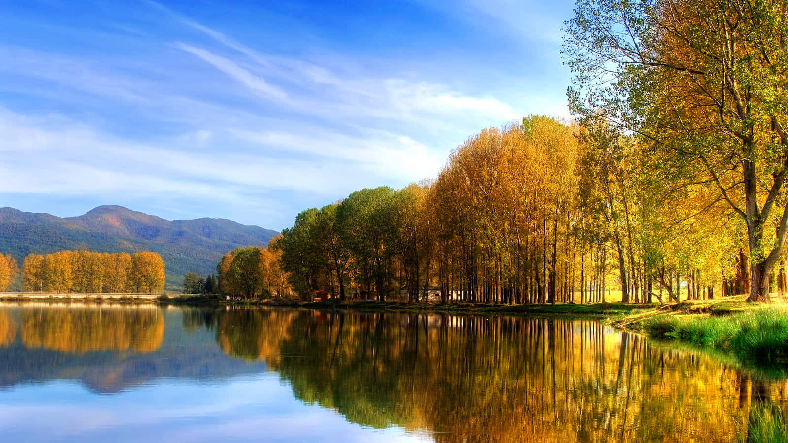 秋日湖畔樹木與山景 壁紙 — 金色的秋樹排列在平靜的湖邊，在明亮的陽光下倒映著藍天和遠山。