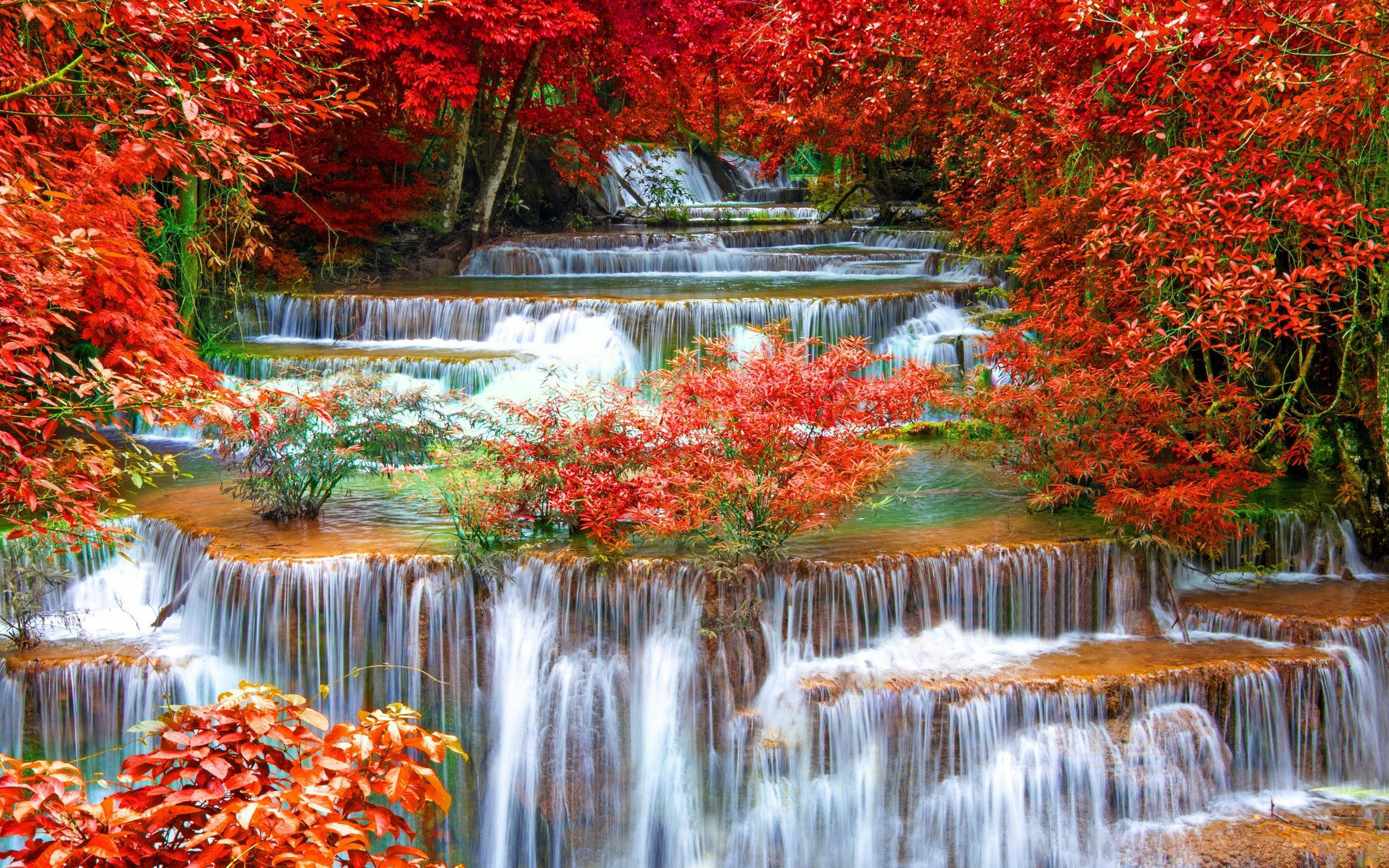 秋日瀑布風景 壁紙 — 鮮紅的楓葉框住了秋天流經梯田石池的層疊瀑布。