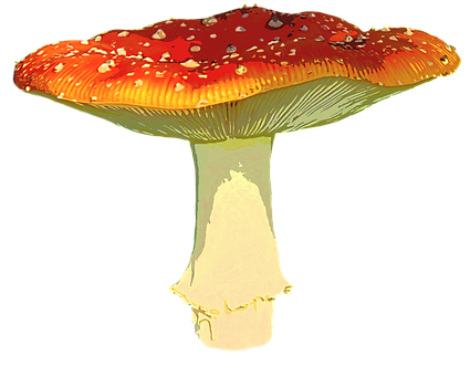 秋日紅菇 壁紙