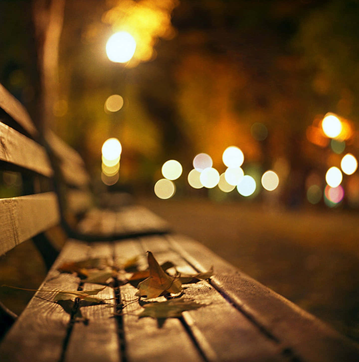 夜晚公園嘅木長凳，有掉落嘅樹葉同背景發光嘅街燈。