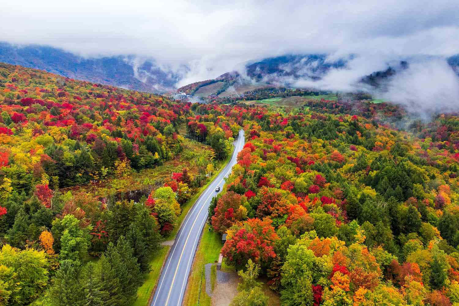 一條蜿蜒的道路穿過色彩繽紛的秋日森林，有山巒和雲朵。