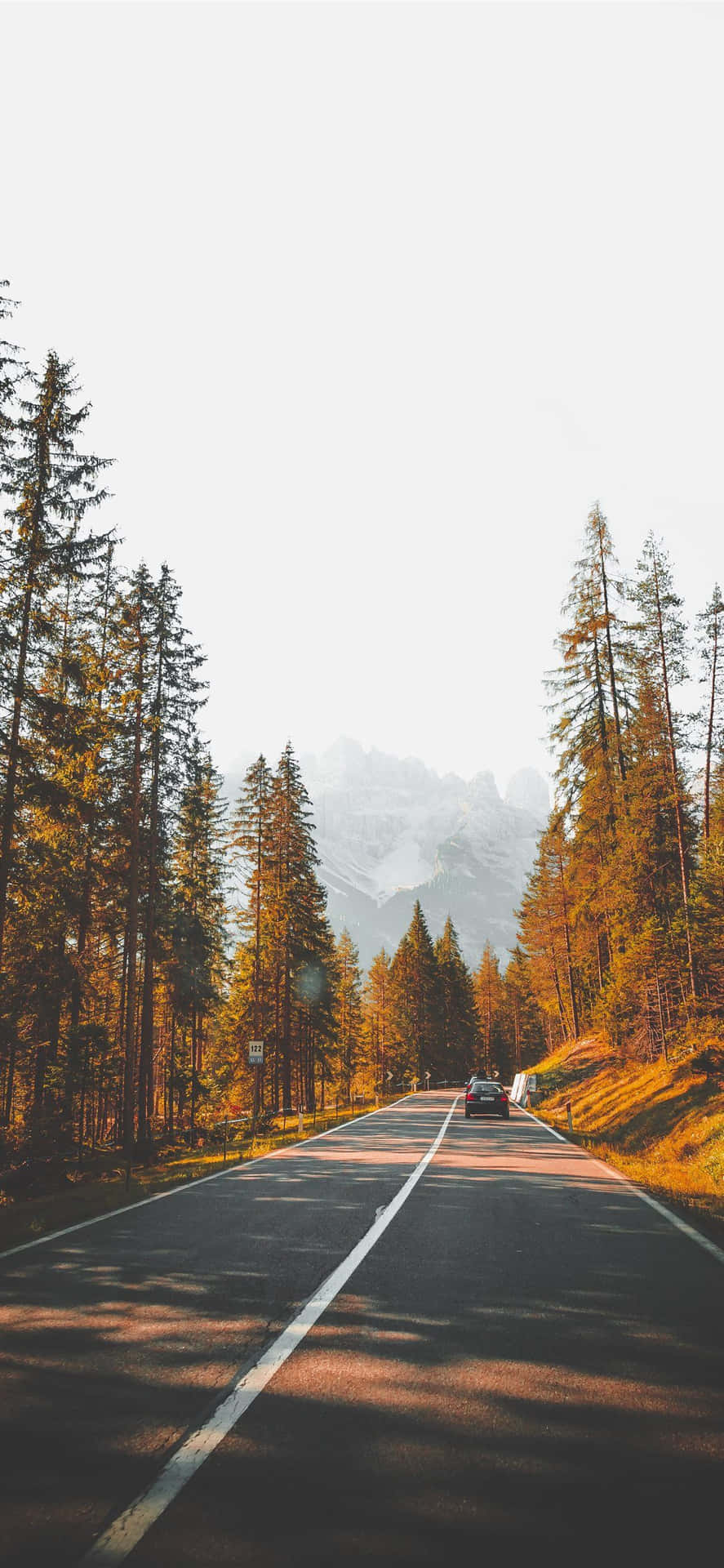 在黃金時段，一輛汽車沿著風景如畫的森林道路行駛，遠處有山巒。