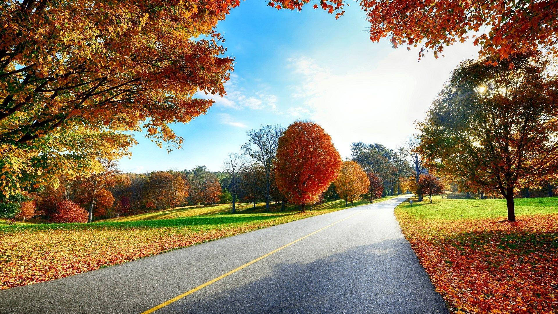 秋日道路風景 壁紙 — 一條蜿蜒的道路穿過充滿活力的秋日森林，火紅和橙色的樹葉在清澈的藍天下勾勒出小徑。