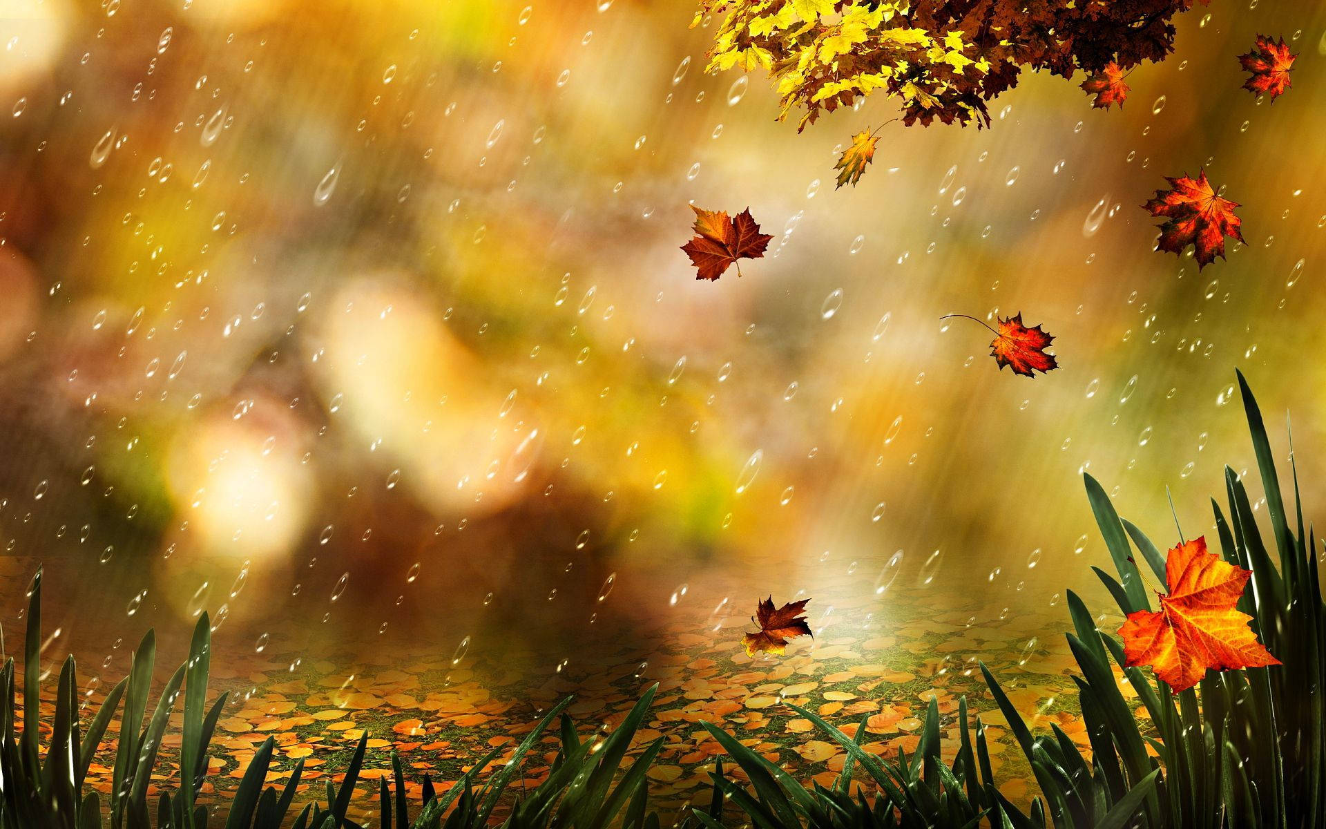 秋日雨景藝術壁紙 壁紙 — 金色的秋葉在溫柔的雨中飄過一個被綠草環繞的倒影池塘。