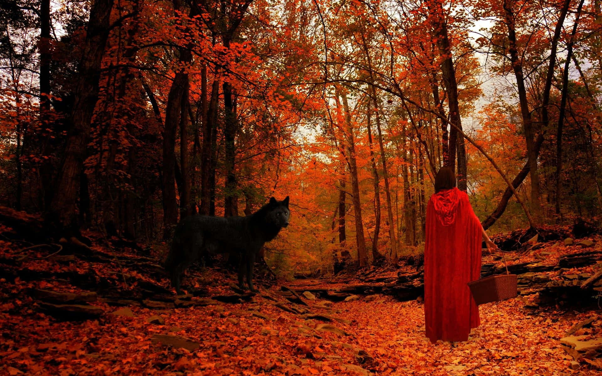 秋林紅衣女士與狼 壁紙 — 一個身穿紅色斗篷的身影走過一片火紅橙色秋葉的森林，附近有一隻黑狼警覺地站著。
