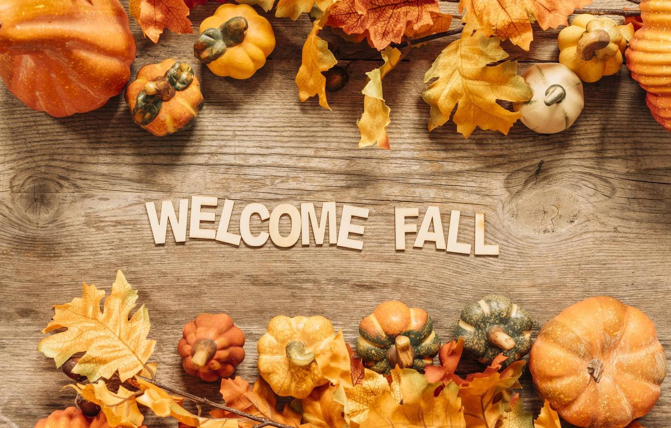 Fall 桌布 壁紙 — 秋葉和南瓜圍繞著 rustic 木質表面上的 welcome fall 字樣。