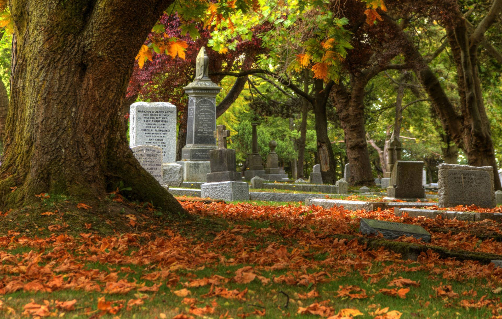 Graveyard 桌布 壁紙 — 秋葉鋪滿寧靜的墓地，石頭紀念碑坐落於高聳的樹木下，樹葉色彩斑斕。