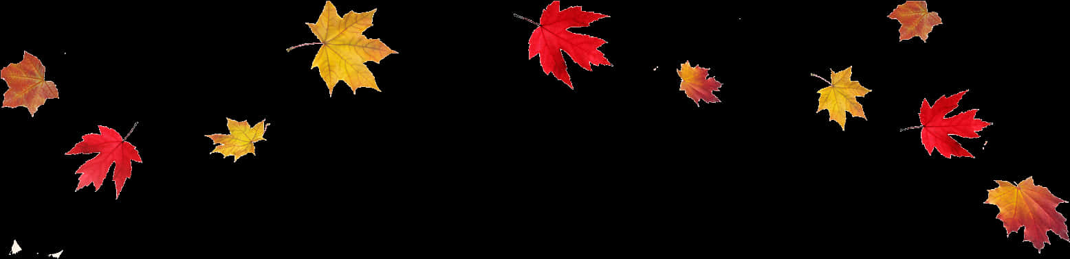 秋葉飄落黑底 壁紙 — 鮮豔的紅色和黃色楓葉在純黑背景上優雅飄落。