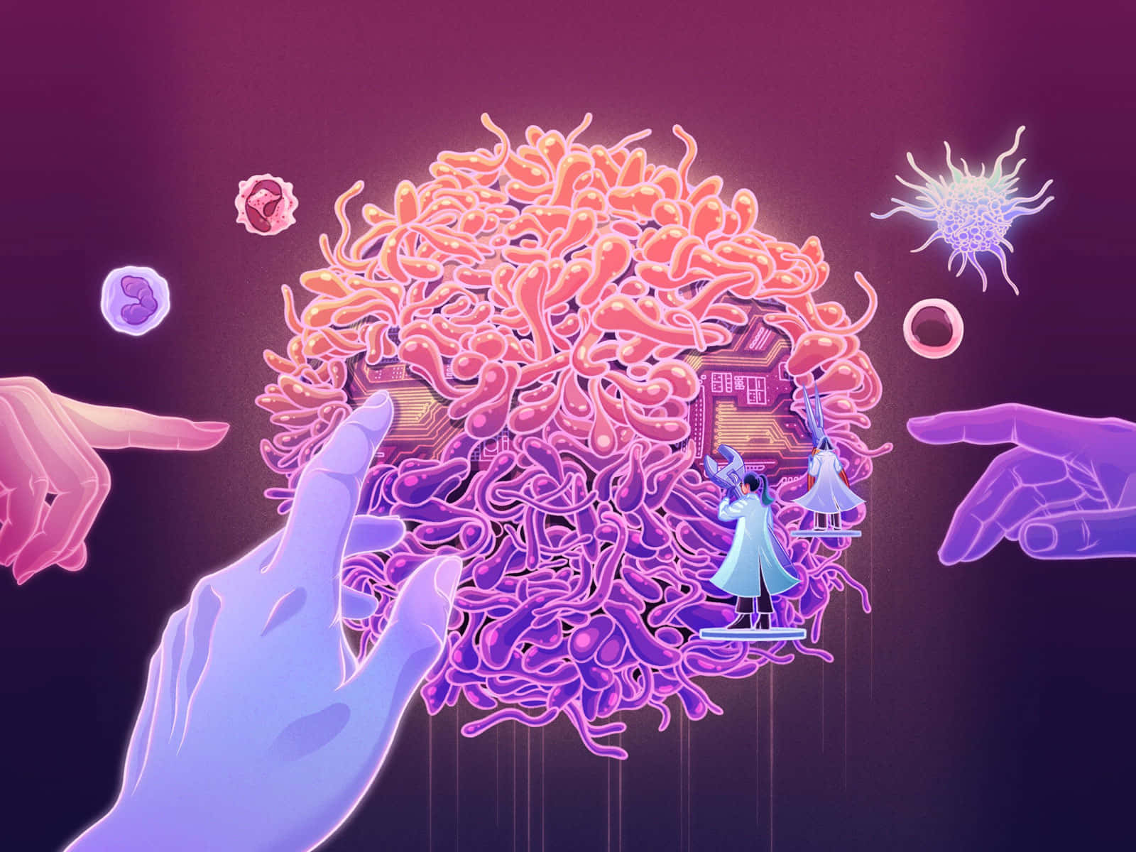 科學圖片 壁紙