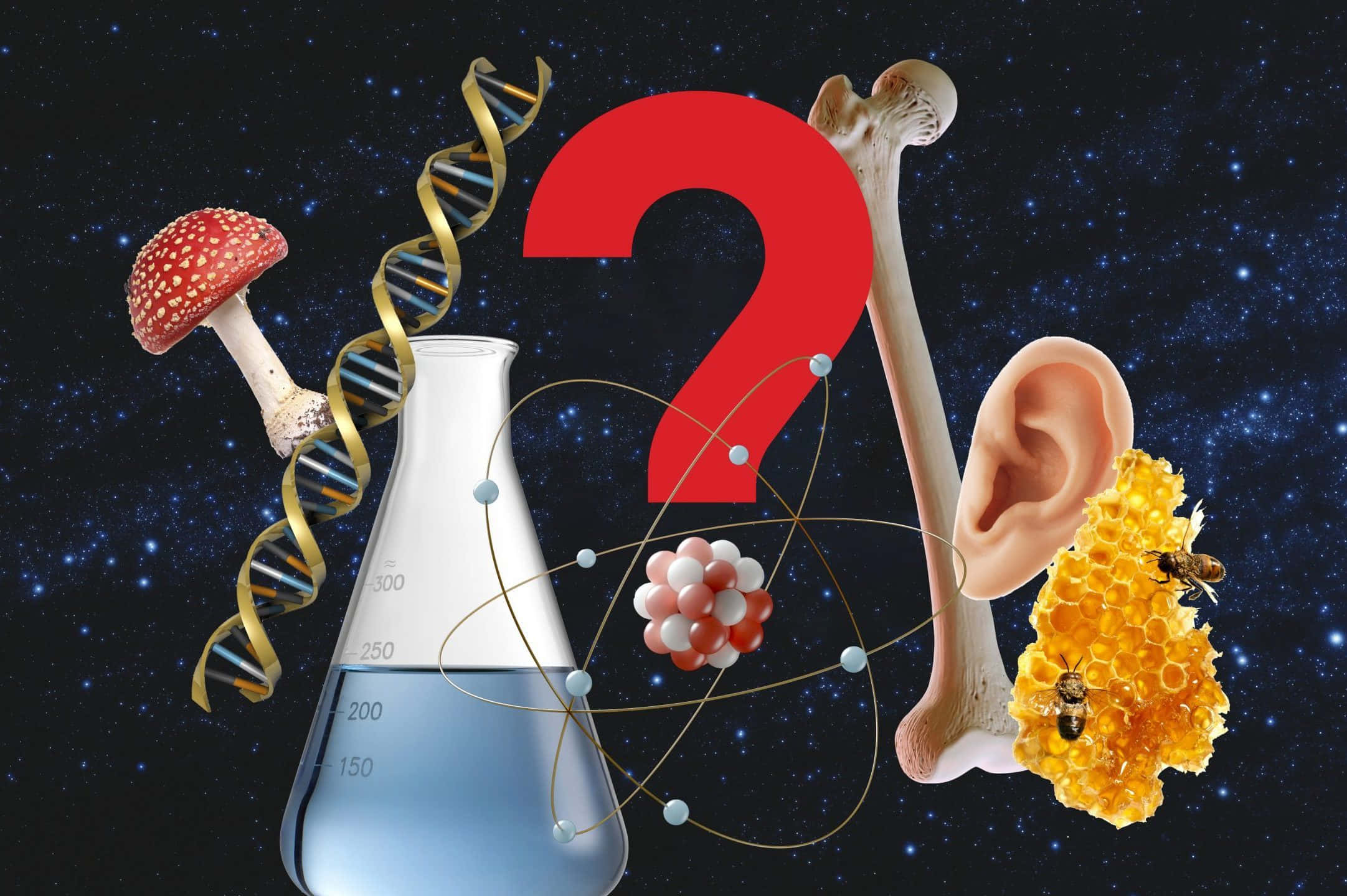 科學圖片 壁紙
