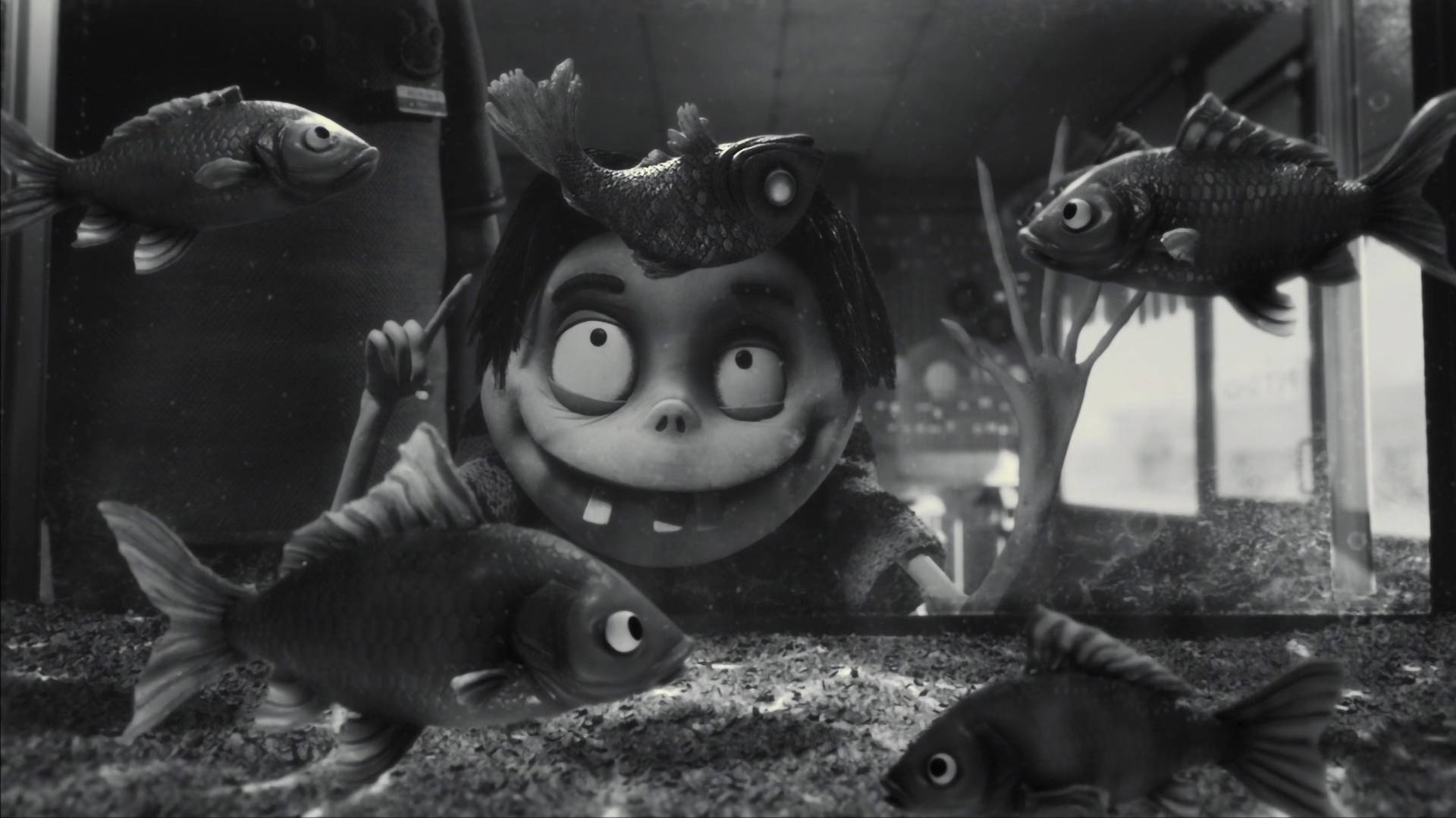 一個頭頂有魚的小孩透過魚缸玻璃看著游動的金魚。