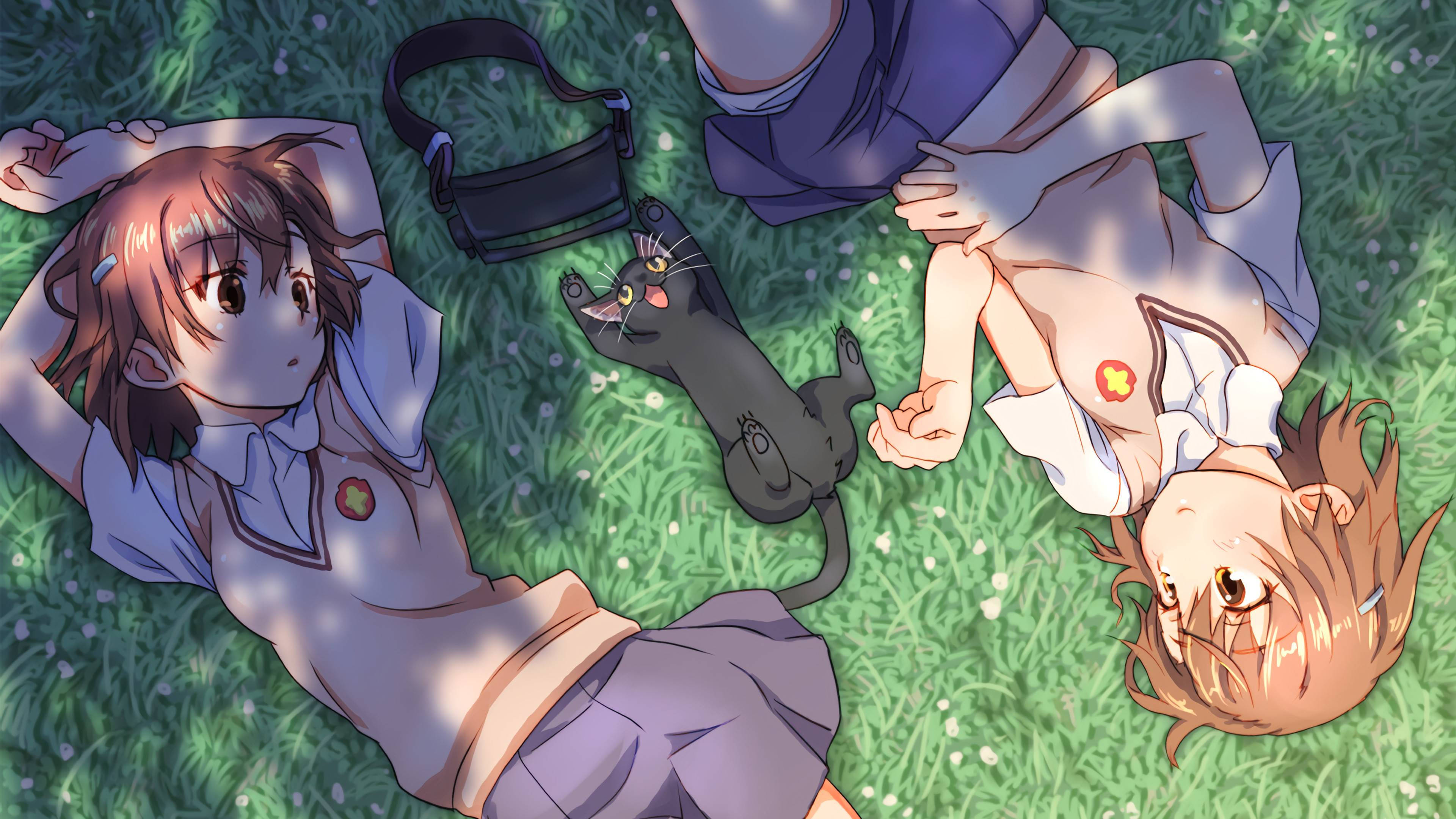 《科學超電磁炮》御坂美琴與貓 壁紙 — 兩個動漫女孩和一隻黑貓在斑駁的樹蔭下，穿著校服在陽光照耀的草地上放鬆。